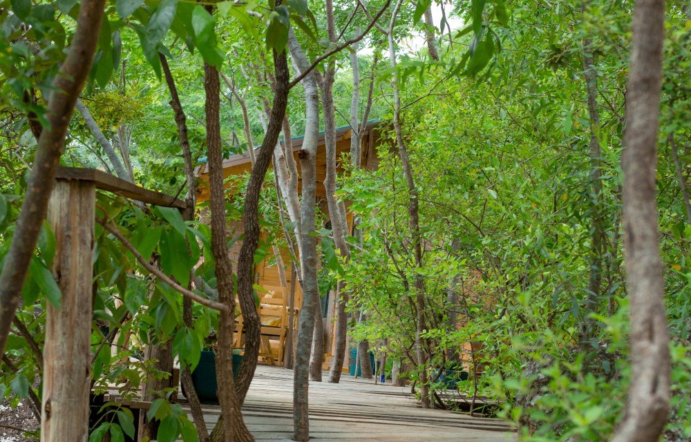 Aika Sunrise B&B Staying Smart on the Road: How Experienced Travelers Book the Right Hotel in Iringa Pictures